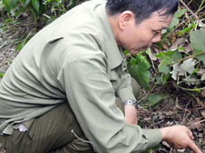 Án mạng đau lòng, con trai dùng dao đâm chết bố đẻ