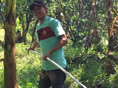 Mất mùa trái cây, nông dân trắng tay