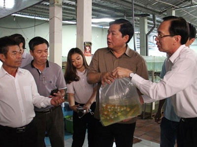 Bí thư Thăng điện khẩn Bộ trưởng Phát vì giấy phép chậm 10 năm