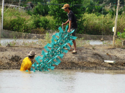 Xã "tỷ phú" trắng tay vì tôm