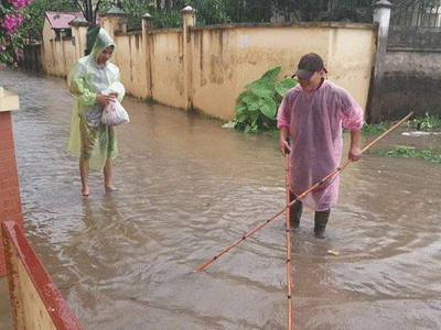 Hà Nội: Sau trận mưa lớn, người dân ra đường bắt cá