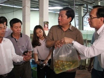 Bí thư Thăng điện khẩn, Bộ trưởng Phát hỏa tốc trả lời