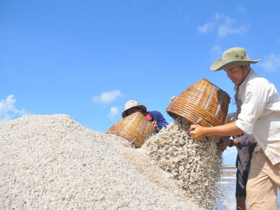 Muối Bạc Liêu rớt giá kỷ lục