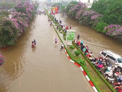 Ảnh bìa bài viết 364526