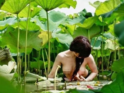 Mùa sen năm nay, hy vọng không có những cảnh nhức mắt này