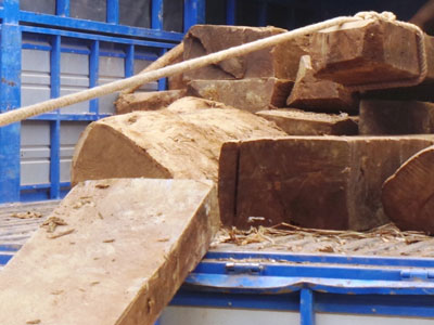 Vụ xe chở gỗ “lọt” qua nhiều trạm kiểm soát: Kỷ luật hàng loạt cán bộ