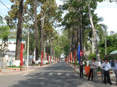 Bêtông hóa vỉa hè,  420 cây cổ thụ đang chết dần
