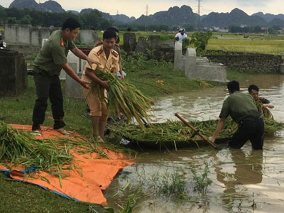 Người Việt trẻ cay nghiệt, tiết kiệm lời khen?