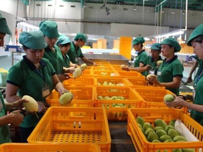 Rau quả Việt hưởng lợi từ căng thẳng Trung Quốc - Philipines