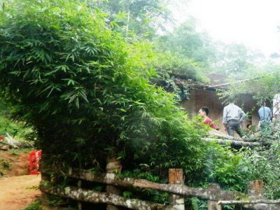 Chồng bò đi kêu cứu vợ bị cướp giết trong đêm