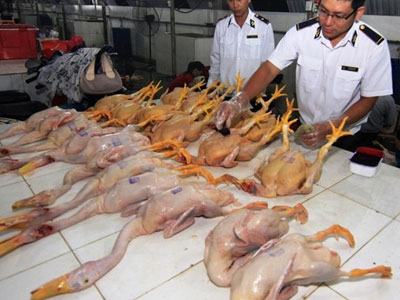 Không cho phép sử dụng nhựa thông trong giết mổ gia cầm