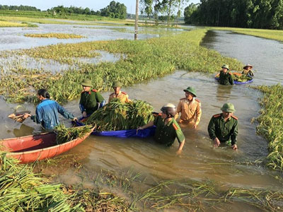 Ảnh bìa bài viết 366456