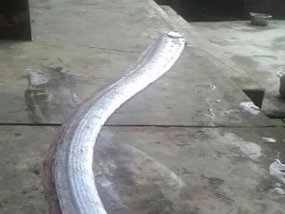 Bất ngờ bắt được ‘thủy quái’ lạ, màu óng ánh, có râu dài hơn 3m