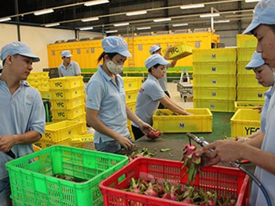Hàng Việt "lột xác" để chinh phục người Mỹ