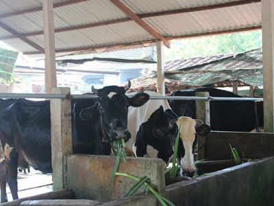 Ảnh bìa bài viết 367803