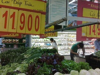Rau cải Trung Quốc nhiễm thuốc trừ sâu vượt 8 lần cho phép