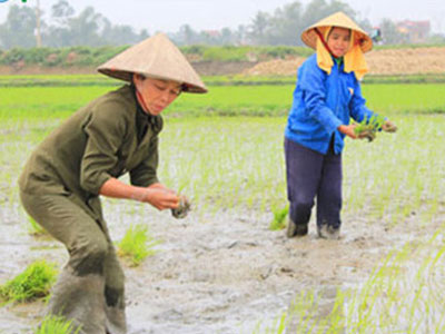 Phụ nữ “sinh ra để làm việc không tên, không công”?