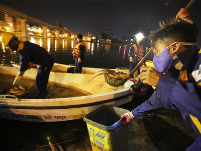 Hàng trăm công nhân cứu cá hồ trung tâm Hà Nội xuyên đêm
