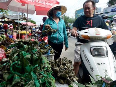 Người Sài Gòn mua lá cây, thức ăn diệt sâu bọ