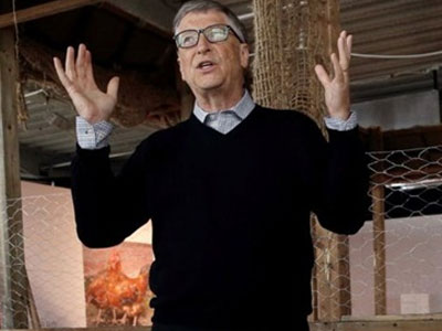 Bill Gates dạy làm giàu từ nuôi gà