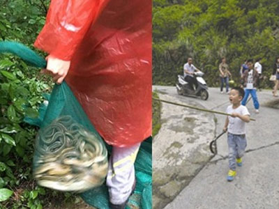 Dân làng phát hoảng vì 900 con rắn phóng sinh