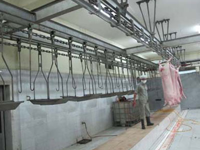 Dừng thi công nhà máy giết mổ gia súc công nghệ hiện đại