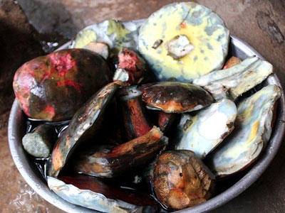 Thần dược giải nhiệt: 800 ngàn/kg, Hà Thành tranh nhau ăn