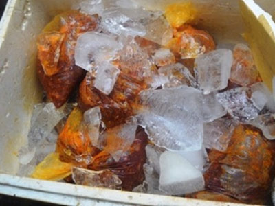 Rùng mình sự thật về thịt bò giá 140.000 đồng/kg