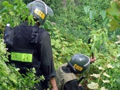 Hơn 100 người lùng kẻ giết nữ sinh Đà Nẵng
