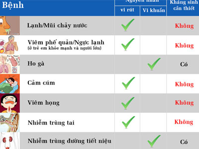 Infographic: Những điều cần biết khi dùng kháng sinh
