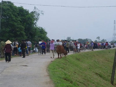 Ảnh bìa bài viết 370723