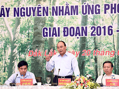 Thủ tướng: Phải đóng cửa các cơ sở chế biến gỗ rừng tự nhiên tại Tây Nguyên
