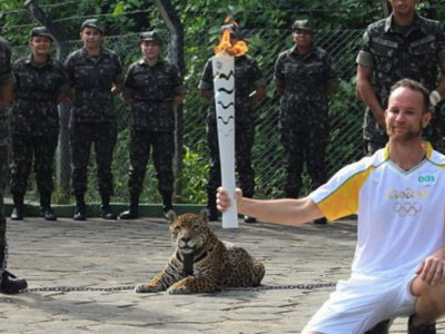 Báo đốm trong lễ rước đuốc Olympic Brazil bị bắn chết