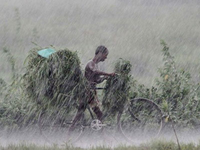 Gần 100 người chết vì sét đánh trong mưa dông ở Ấn Độ