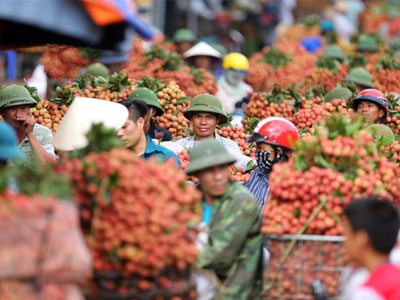 Cảnh chợ vải thiều Việt Nam lên báo nước ngoài