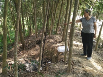 Giấc mơ lạ của người bà và nỗi ân hận muộn màng của người phụ nữ bất hạnh