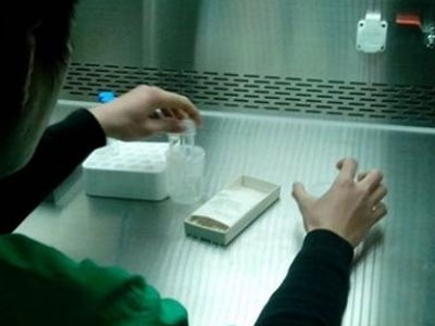 Nam thanh niên suýt vô sinh vì bị virus ăn gần hết tinh trùng
