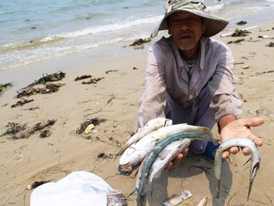 Truyền thông thế giới quan tâm đến thủ phạm gây cá chết hàng loạt ở Việt Nam