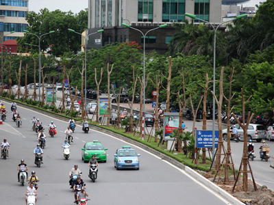 Hà Nội sắp có thêm nhiều tuyến phố hoa phượng đỏ