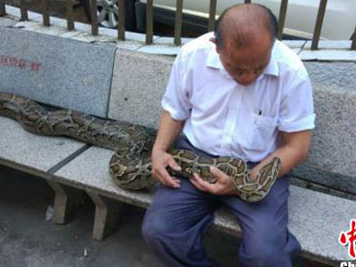 Cụ ông nuôi con trăn nặng 60kg trong nhà và coi như... con đẻ