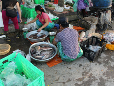 Hà Nội: Siêu thị cung cấp thực phẩm cho nhiều trường mầm non bị xử phạt vì sơ chế đồ ăn ở vỉa hè