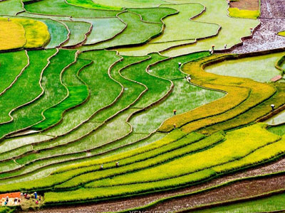 Ngày hè trên miền sơn cước Mù Cang Chải