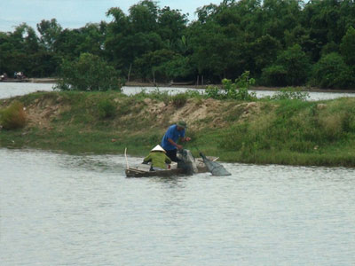 Bớt xén tiền hỗ trợ ngư dân sau vụ cá chết