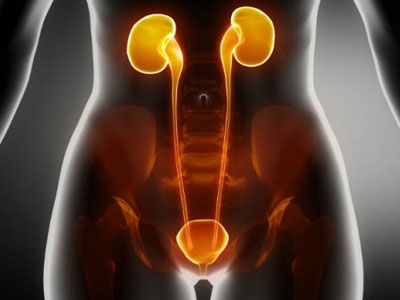 Những thói quen dễ gây hỏng thận