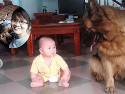 "Lời kêu cứu" cười ra nước mắt của cô vợ có chồng nghiện chim mê gà, coi chó như con