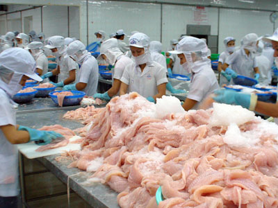 65% doanh nghiệp miền Tây than bị nhũng nhiễu