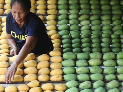 Người Trung Quốc đòi tẩy chay xoài, chuối Philippines