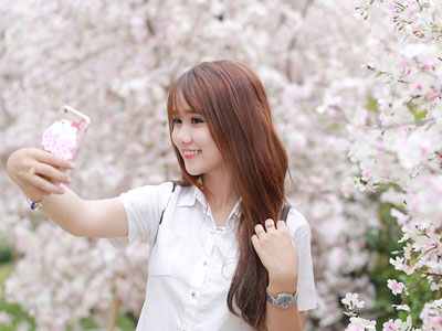 Ảnh bìa bài viết 377241