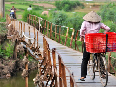 Ảnh bìa bài viết 377537