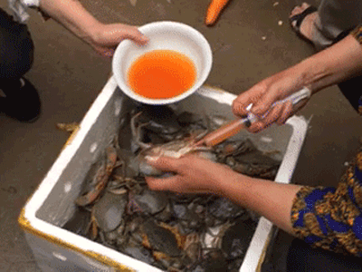 Xem xong clip này bạn có còn muốn ăn hải sản?